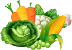 icon_produce