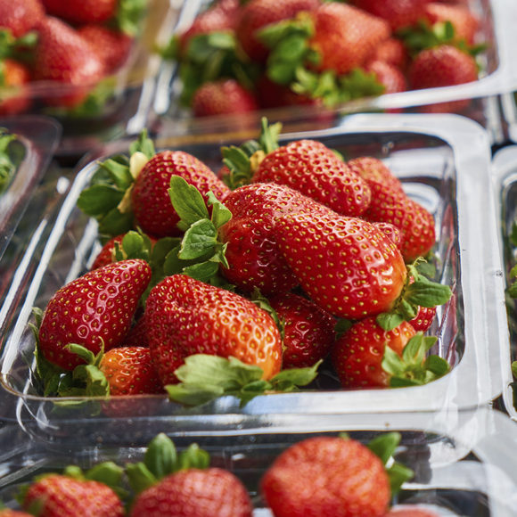 strawberry 580x580