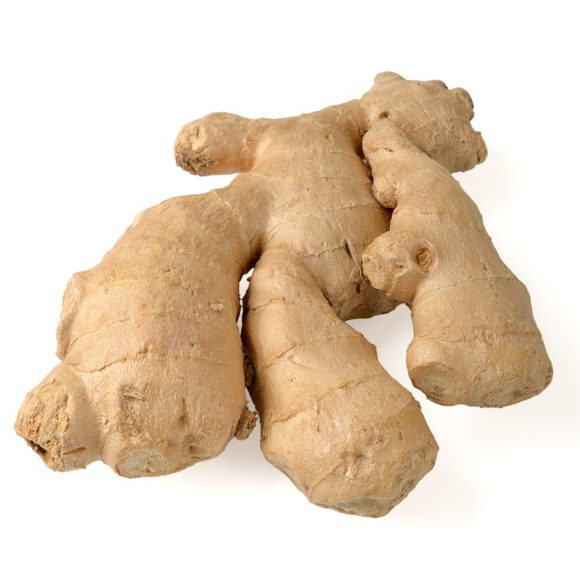 root 4872621_1280 580x580