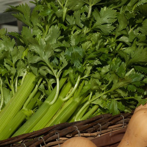 vegetables 2077379_1280 580x580